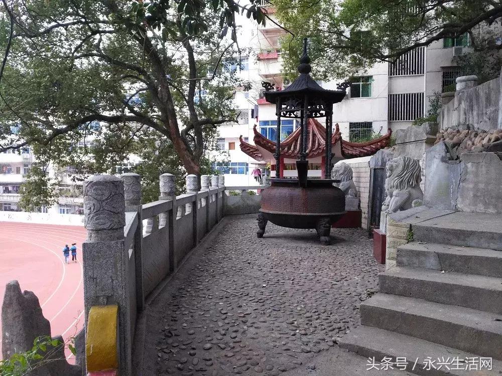 永兴一中老师名单,永兴一中