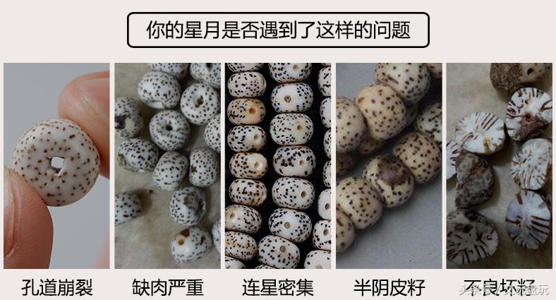 星月从外表如何判断真假,星月陈籽怎么鉴别真假