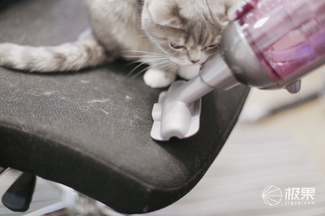 猫奴必做攻略,猫奴必看喵星人