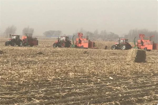 带爪子的打捆机，你见过吗？