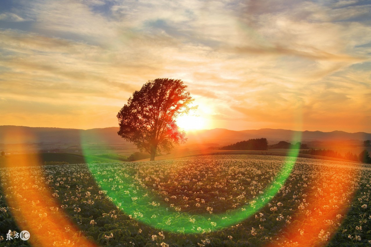 楼上楼下电灯电话这句话的来历,楼上楼下电灯开关接法