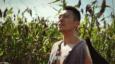 朱亚文真的很宠沈佳妮吗,朱亚文喜欢过刘亦菲吗