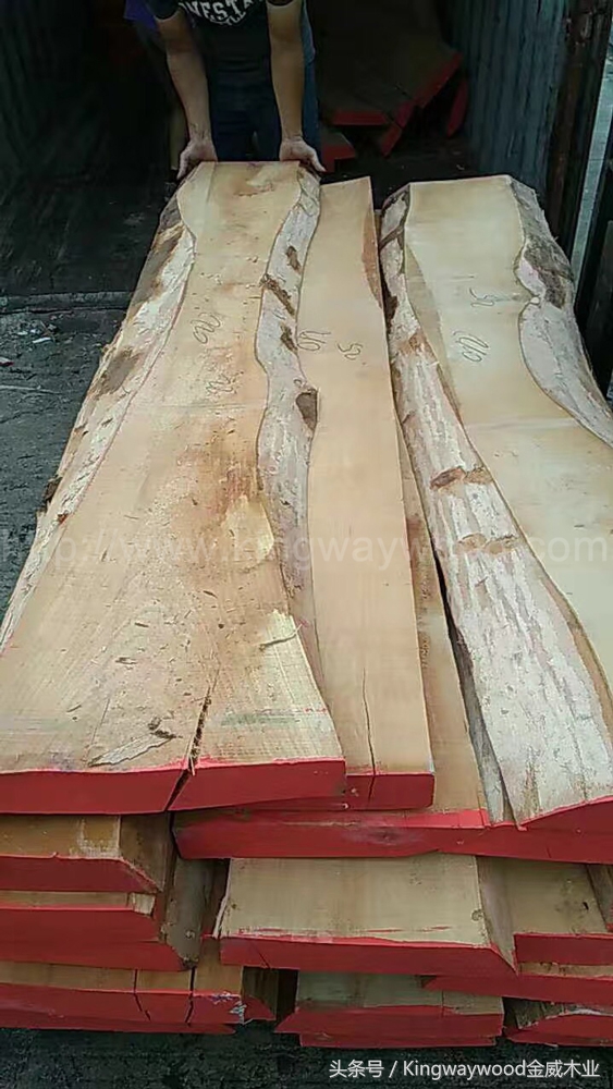 榉木板材批发厂家直销,光面榉木板材批发