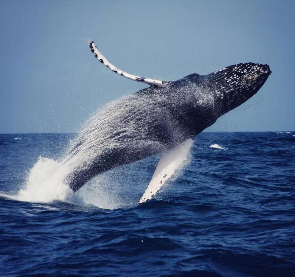 侏罗纪公园取景地有哪些,侏罗纪公园拍摄地