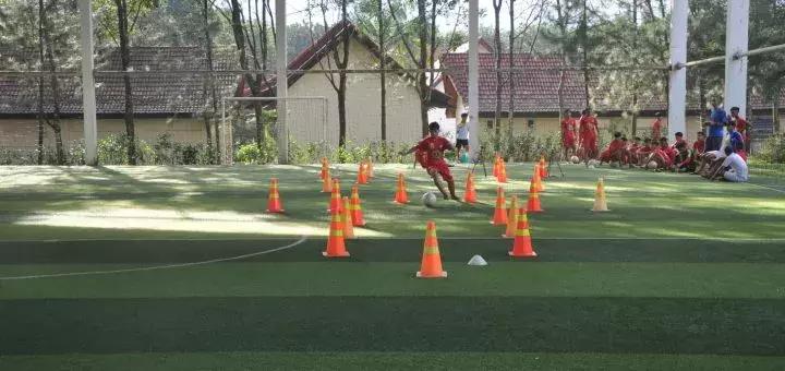 越南足球崛起,越南足球的崛起