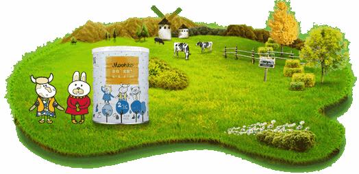 麦蔻奶粉新包装,麦蔻二段奶粉正品