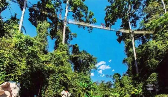 落地自驾云贵黄果树瀑布罗平油菜花元阳梯田西双版纳11日游