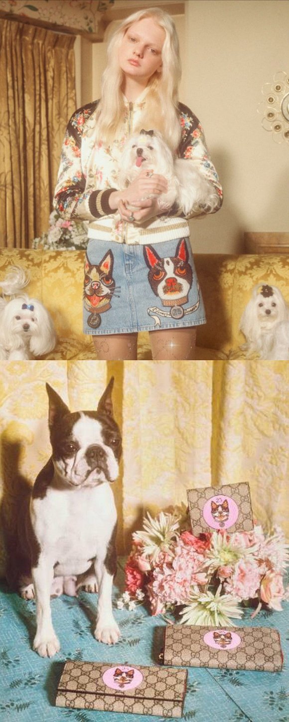 gucci造型,gucci狗年款