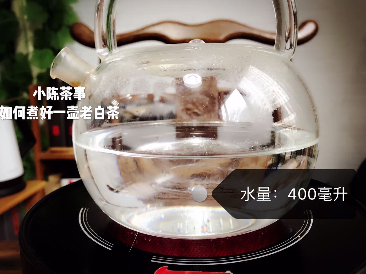 煮壶老白茶的正确方法,老白茶适合什么壶煮