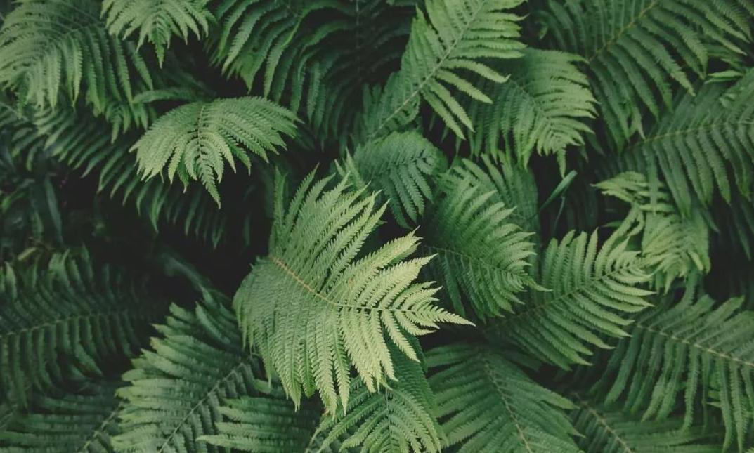 侏罗纪公园取景地有哪些,侏罗纪公园拍摄地