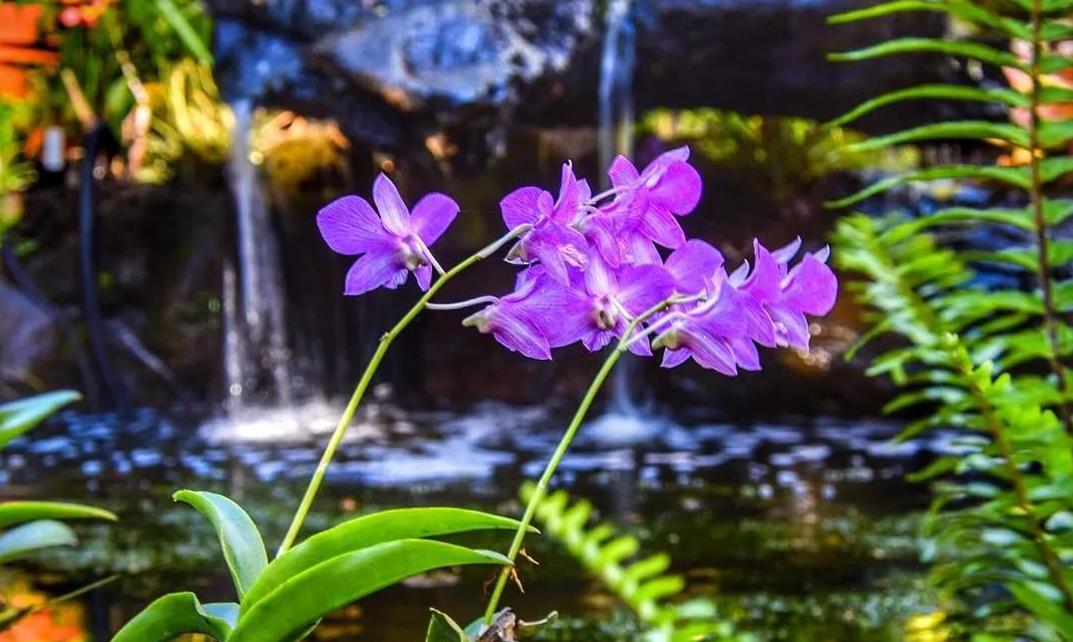 侏罗纪公园取景地有哪些,侏罗纪公园拍摄地