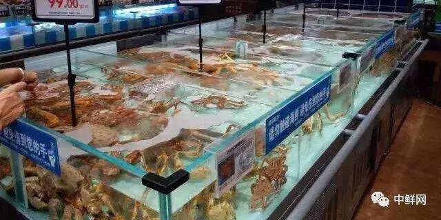 水产养殖技术干货,带鲜味的动物食材