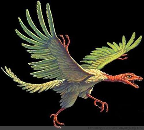 盘点六种恐龙哪家强,十大最好恐龙排行榜