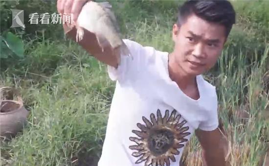 网红农民直播,网红直播农村生活