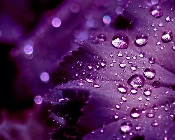 国货好物推荐性价比,国货超好用便宜