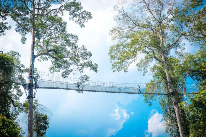 西双版纳最美公园是哪一个,西双版纳最主要景区有哪些