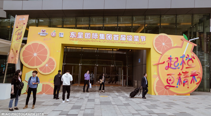 枕头君,枕头君完整视频