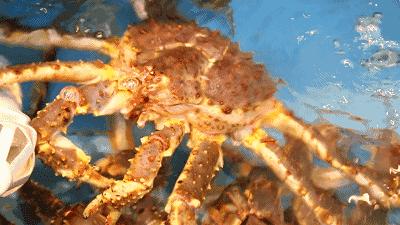 娉夊窞甯傚尯鍝簺姣旇緝濂界殑娴烽矞閰掓ゼ,娉夊窞娴烽矞缇庨鎺掕姒滃墠鍗佸悕