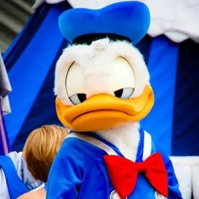 运动完膝盖感觉肿胀,运动完膝盖会响