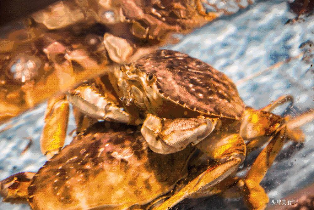 娉夊窞甯傚尯鍝簺姣旇緝濂界殑娴烽矞閰掓ゼ,娉夊窞娴烽矞缇庨鎺掕姒滃墠鍗佸悕