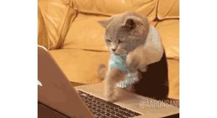 专柜断货的口红终于补上了,现在有哪一款口红断货了