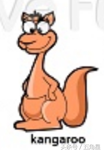 动物的英文单词都有哪些,动物英语单词13个