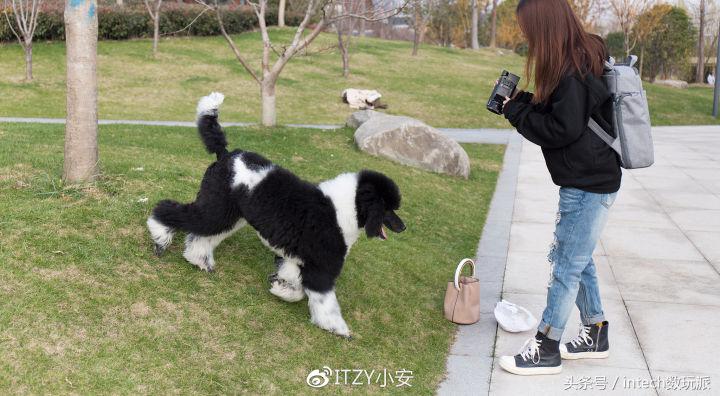 索尼fdr-ax60摄像机拍星空,索尼fdr-ax604k数码摄像机怎么玩