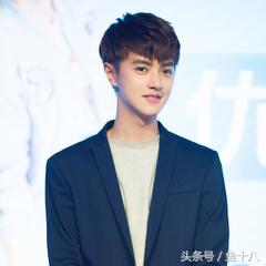 流星花园柴智屏选角说看颜值,流星花园日剧2