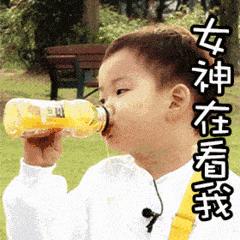 最近爱用物,今年大作战饼干推荐