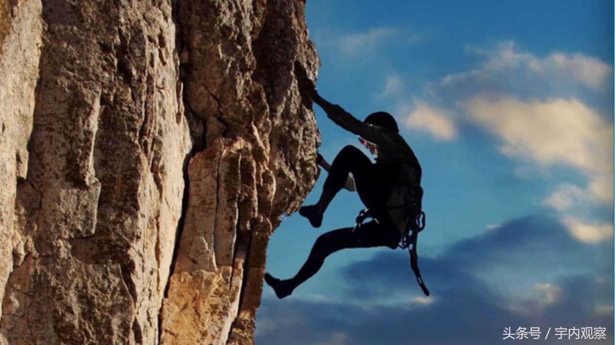 王利芬为什么关闭优米网,优米网王利芬现在怎么样