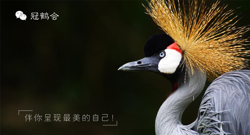 第一次拜年见男方家长穿什么,新年穿衣见家长怎么穿