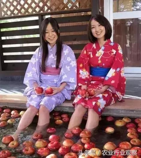 日本农业强国,日本是农业强国吗