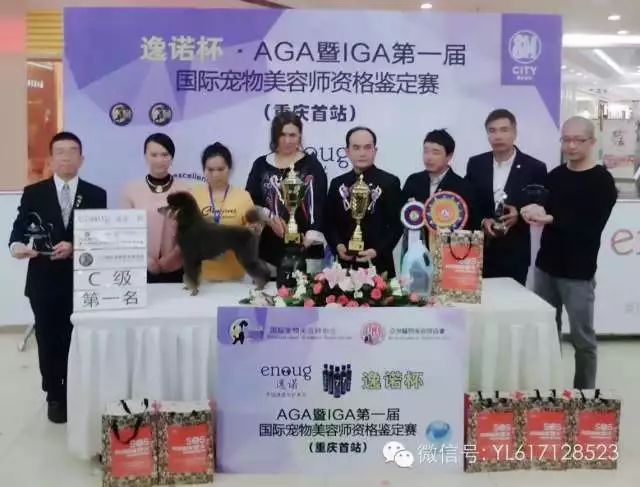 田丹最后一集画面,田丹最后什么结果