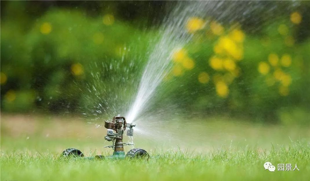 新铺的草坪怎么维护,草坪怎么维护保养