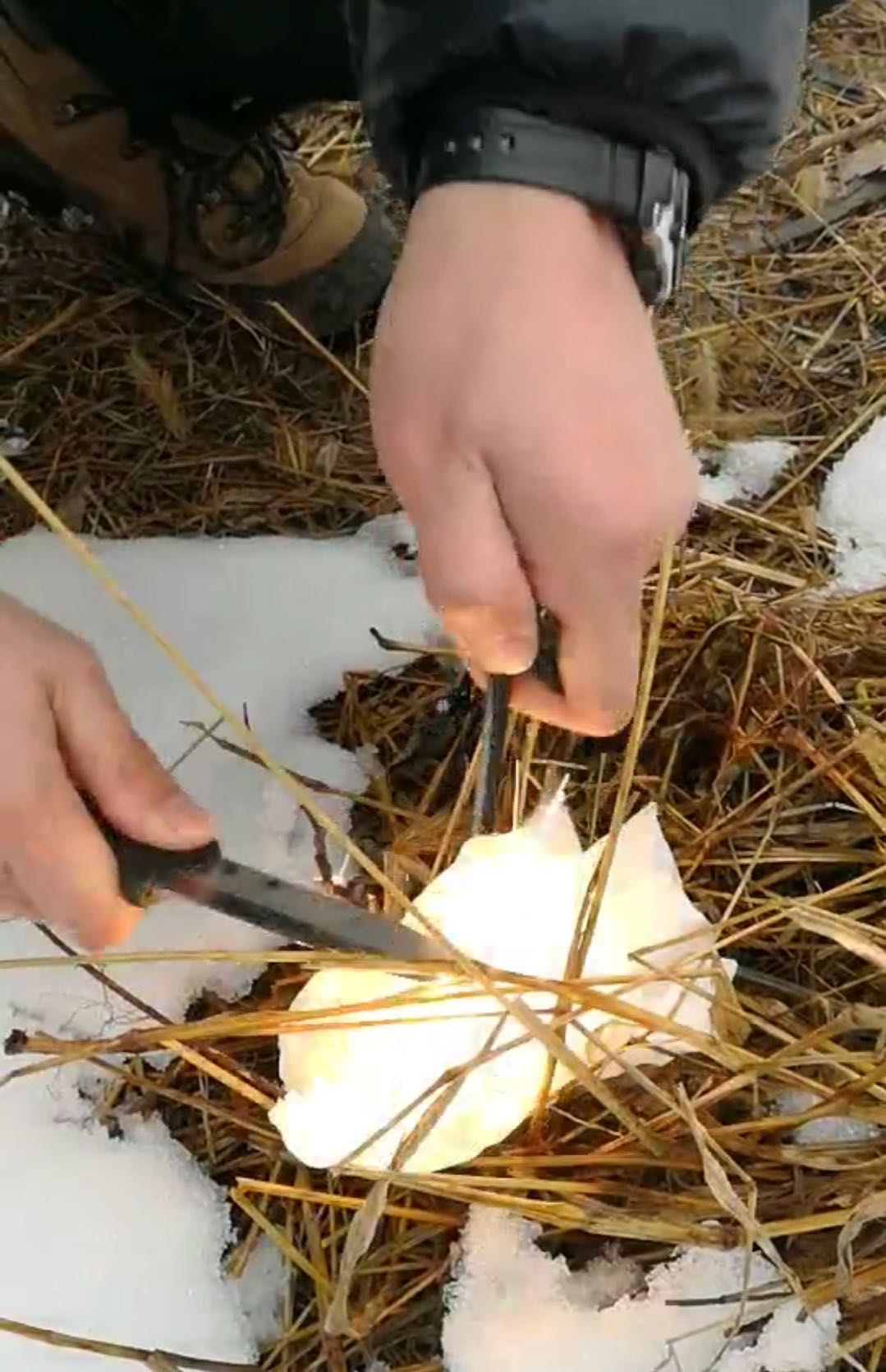 汉道生存大师2值得入手吗,汉道生存大师评测