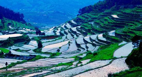 “山水诗之旅”到底是怎样的一场旅行？为什么吸引这么多大咖前往探秘？