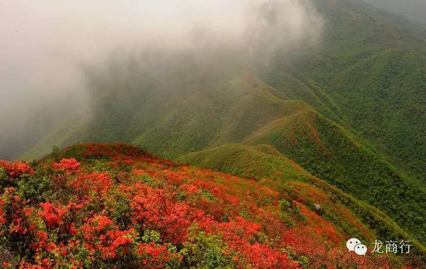 龙游——这下带你像龙一样飞，双飞