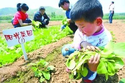 五一小长假去哪也不如回家陪爸妈,五一长假去旅游开心又快乐