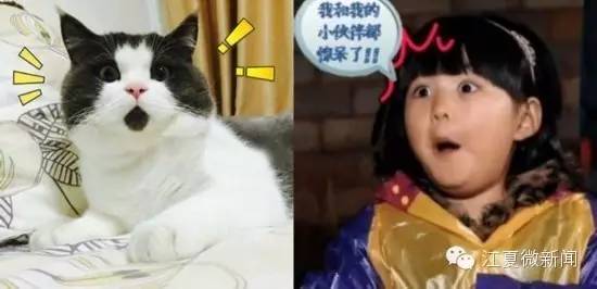 夫妻卖掉出生仅5天的儿子,夫妻卖掉刚生的儿子