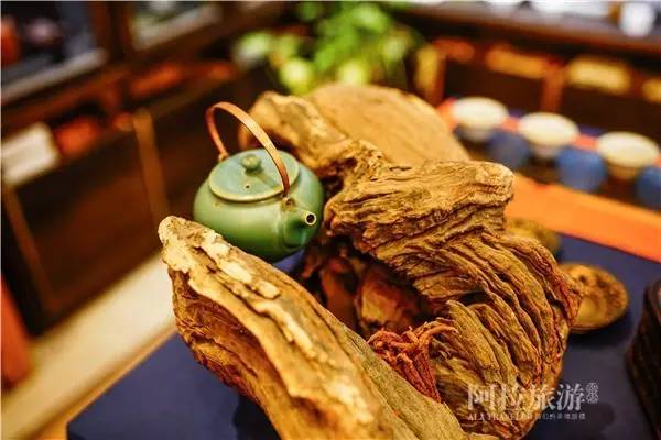 我也想有间这样的茶室，就在城中央，你却找不到|春日事5