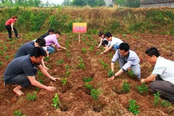 五一小长假去哪也不如回家陪爸妈,五一长假去旅游开心又快乐