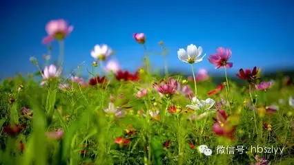 五一来临,肿瘤患者旅游时要注意这些