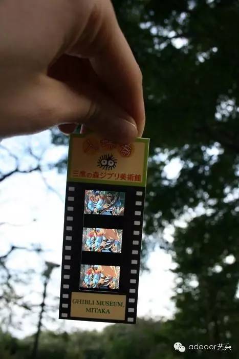 在魔都,totoro上海