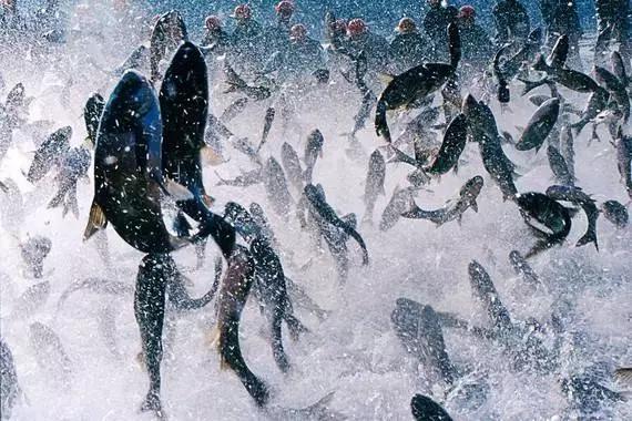 五一杭州千岛湖自驾游攻略,游千岛湖最佳季节