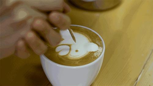 黄小厨说：一杯好咖啡既需要套路又需要真诚～