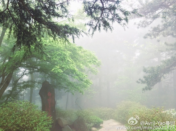 庐山花径公园有哪些花,庐山花径公园是什么意思