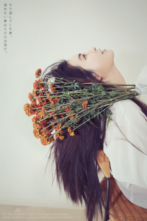 野子向阳而生,野子追光者