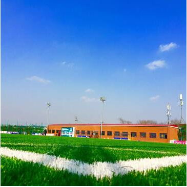 大连银行成都分行邀请你和宝贝体验足球快乐！