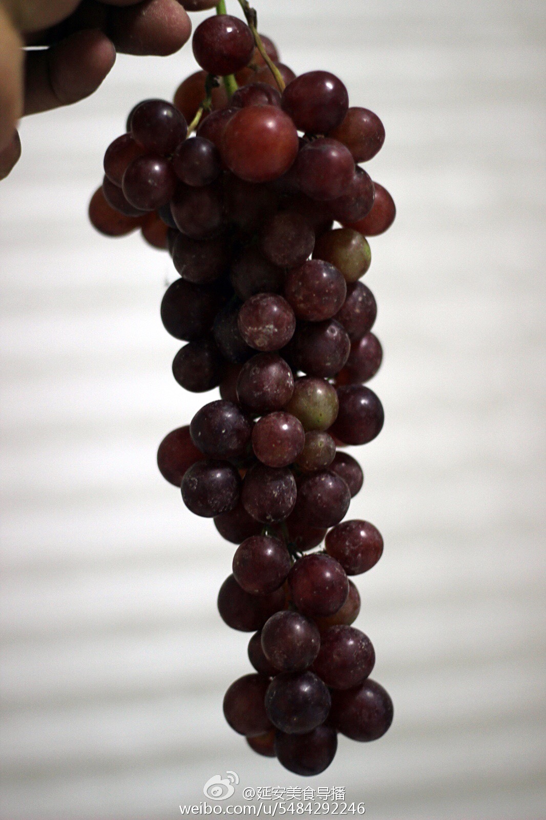 舌尖上的中国西宁,舌尖上的青海西宁