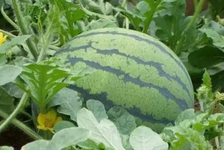 不要听说郴州怎样，进来听听郴州怎么说。